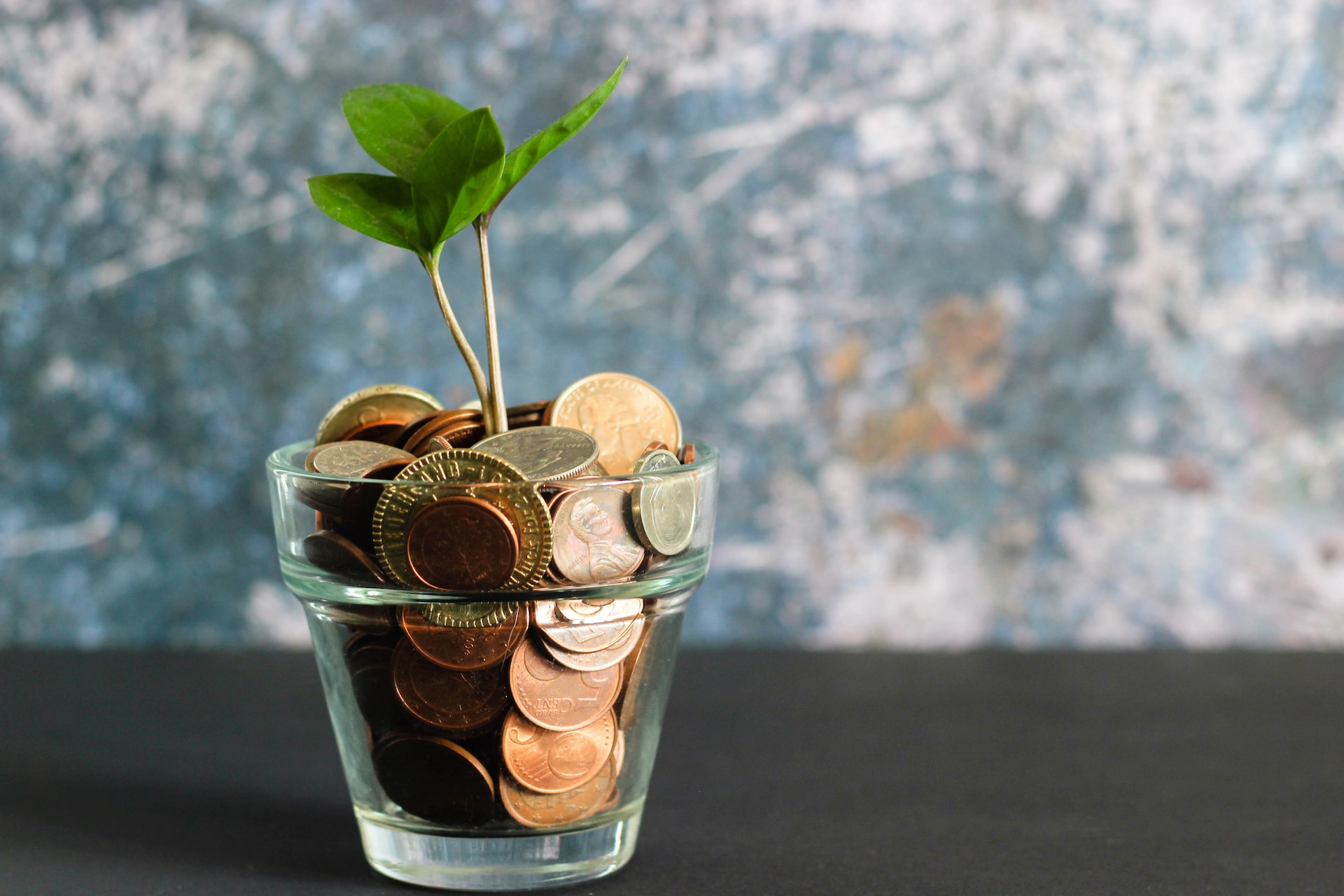 Line of Credit Private Lender